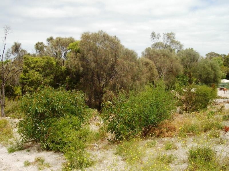 21 Endeavour Court, Coffin Bay SA 5607