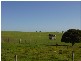 VARIOUS JESSIE FLAT ROAD, Streaky Bay SA 5680
