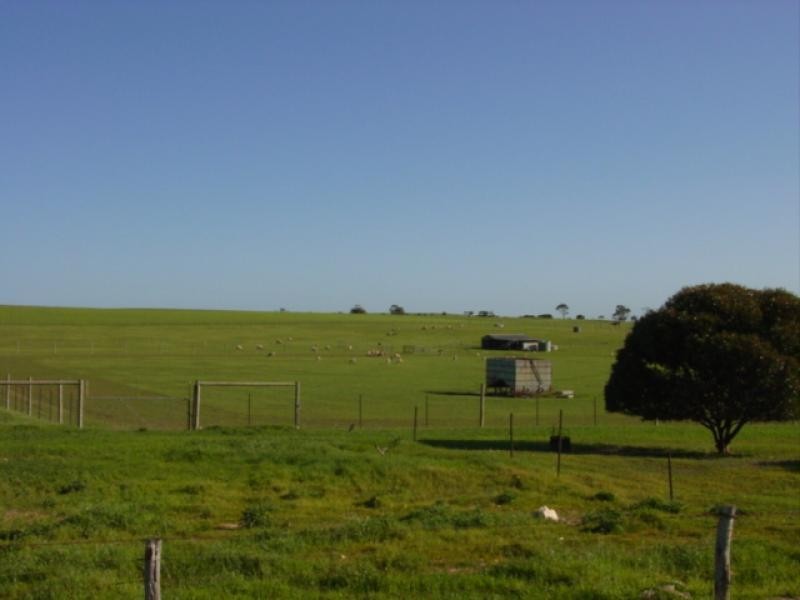 VARIOUS JESSIE FLAT ROAD, Streaky Bay SA 5680