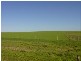 VARIOUS JESSIE FLAT ROAD, Streaky Bay SA 5680