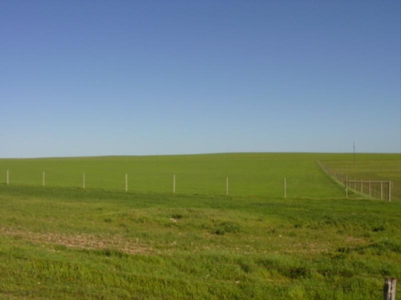 VARIOUS JESSIE FLAT ROAD, Streaky Bay SA 5680