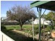 18 Hall Street, Cummins SA 5631