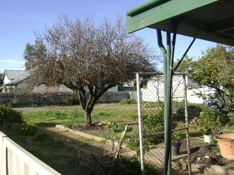 18 Hall Street, Cummins SA 5631