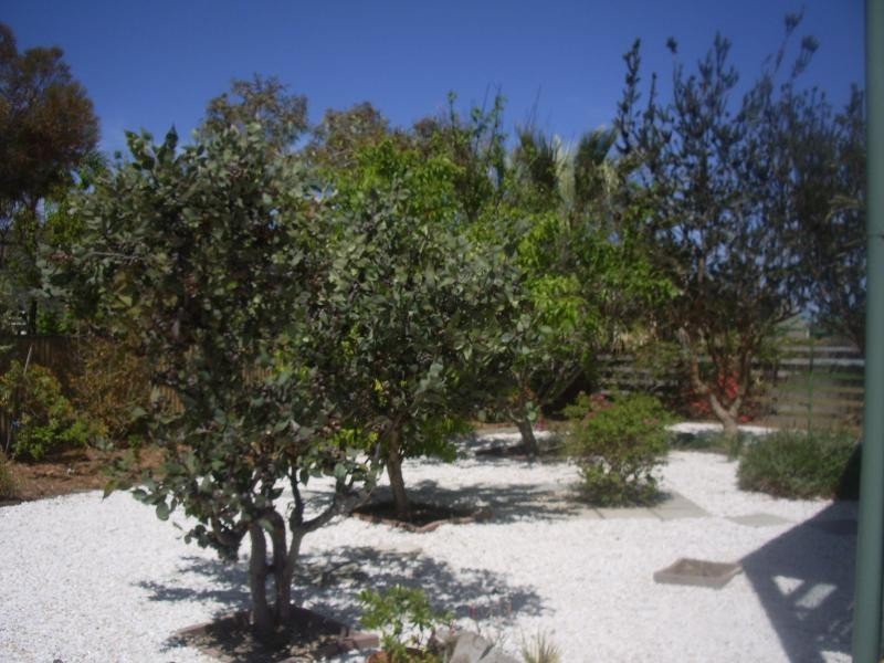 50 Wishart Street, Tumby Bay SA 5605