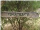 Lot 11/ Price Street, Coulta SA 5607