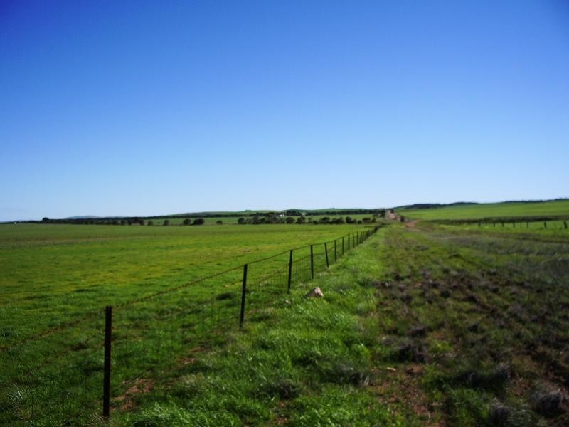 Section 8 Government Road, Tumby Bay SA 5605
