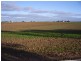 Lot 29 Dutton Terrace, Tumby Bay SA 5605