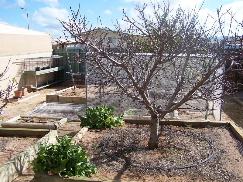 14 Treasure Crescent, Tumby Bay SA 5605