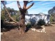 1 Ashman Terrace, Ungarra SA 5607