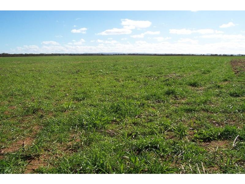 Section 11/ Mitchellville Road, Cowell SA 5602