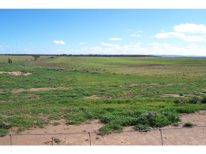 Section 11/ Mitchellville Road, Cowell SA 5602