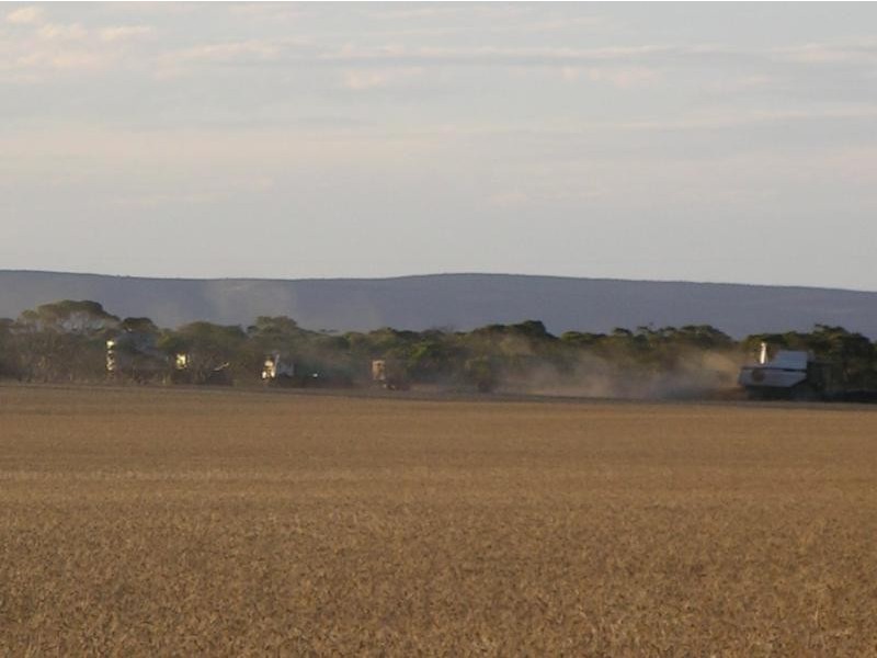 Section 11/ Mitchellville Road, Cowell SA 5602