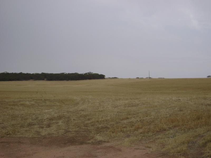 Yalanda SA 5641