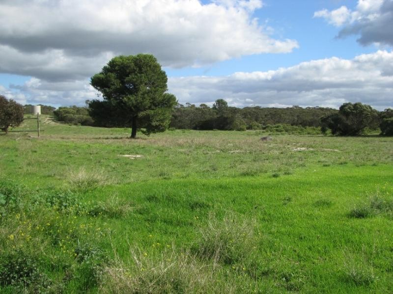 Section 60/ Duck Ponds Drive, Duck Ponds SA 5607