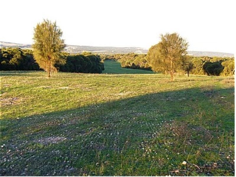 Section 60/ Duck Ponds Drive, Duck Ponds SA 5607