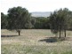 Section 60/ Duck Ponds Drive, Duck Ponds SA 5607