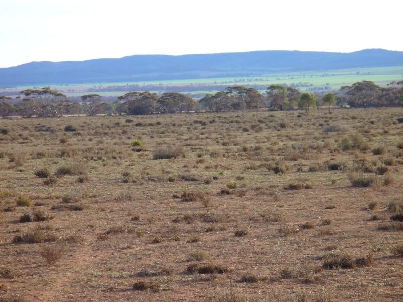 Section 30 Hundred of Minbrie, Cowell SA 5602 the real estate agency