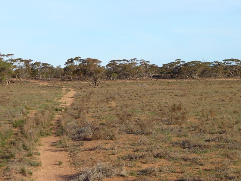 Section 30 Hundred of Minbrie, Cowell SA 5602 the real estate agency