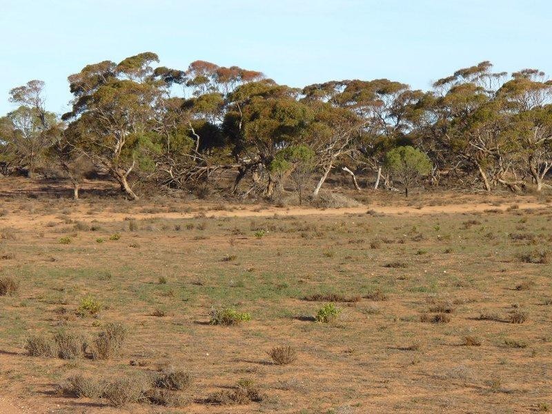 Section 30 Hundred of Minbrie, Cowell SA 5602 the real estate agency