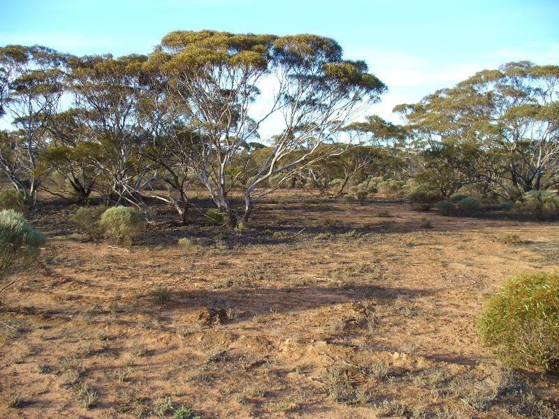 Section 30 Hundred of Minbrie, Cowell SA 5602 the real estate agency