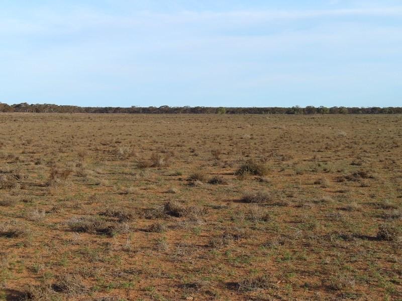 Section 30 Hundred of Minbrie, Cowell SA 5602 the real estate agency