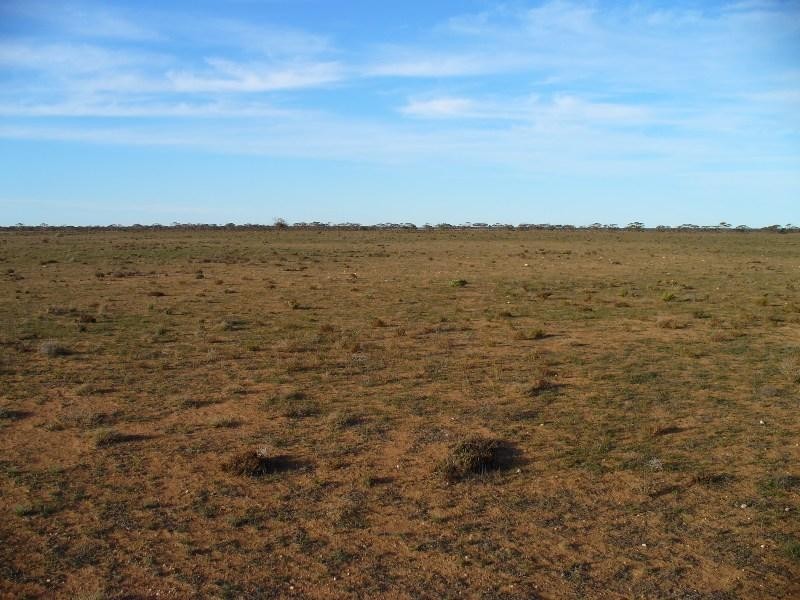 Section 30 Hundred of Minbrie, Cowell SA 5602 the real estate agency