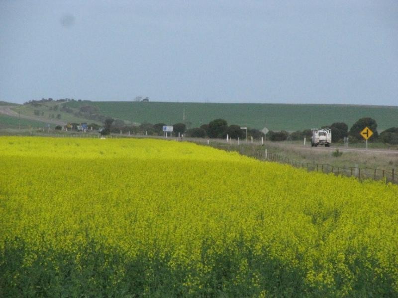 Lipson SA 5607