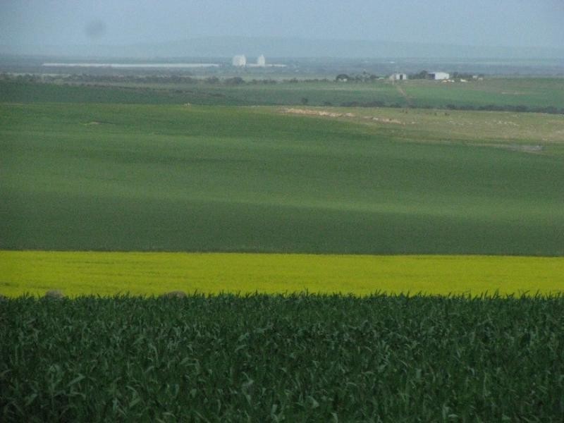 Lipson SA 5607