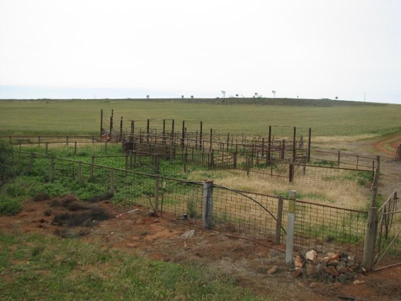 Lipson SA 5607