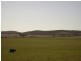 Lot 1/ DP 24941 Hd of Yadnarie, Cleve SA 5640
