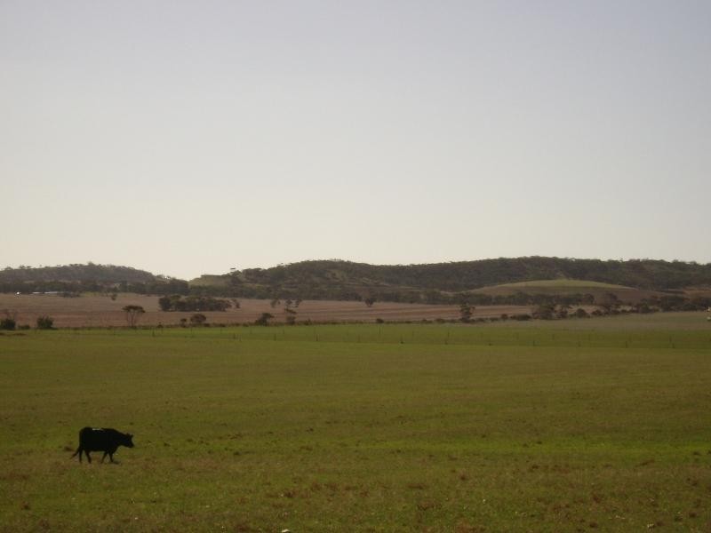 Lot 1/ DP 24941 Hd of Yadnarie, Cleve SA 5640