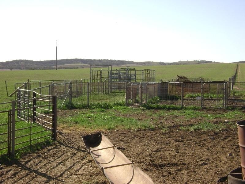 Lot 1/ DP 24941 Hd of Yadnarie, Cleve SA 5640