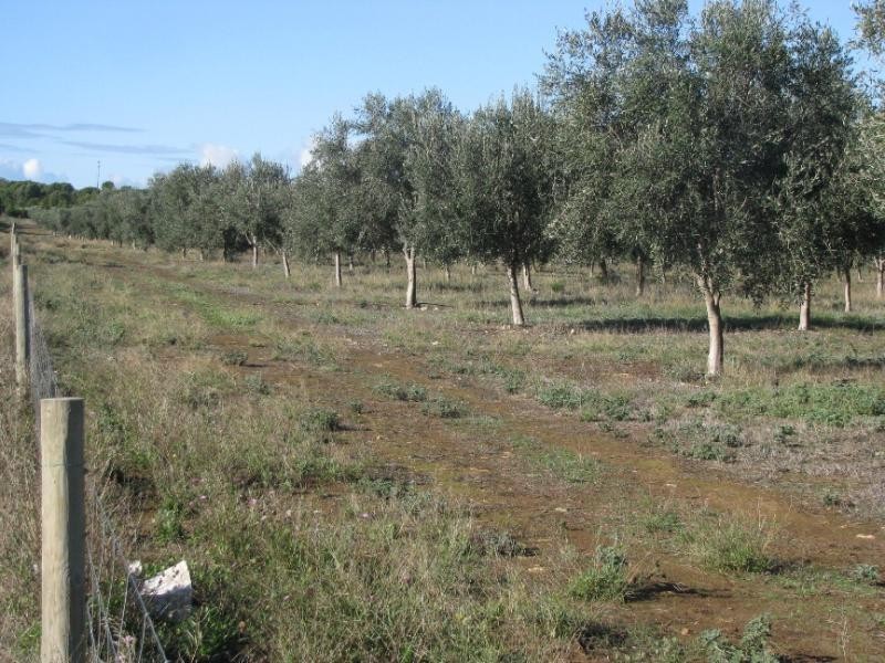 Lot 14/ Concorde Road, Port Lincoln SA 5606