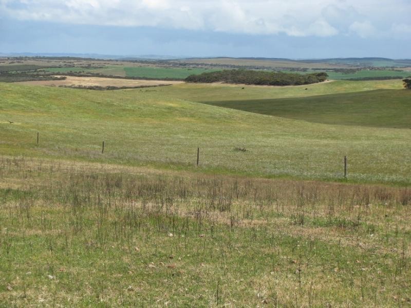 Section 18/ Hen & Chicken Road, Mangalo SA 5602
