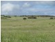 Section 18/ Hen & Chicken Road, Mangalo SA 5602
