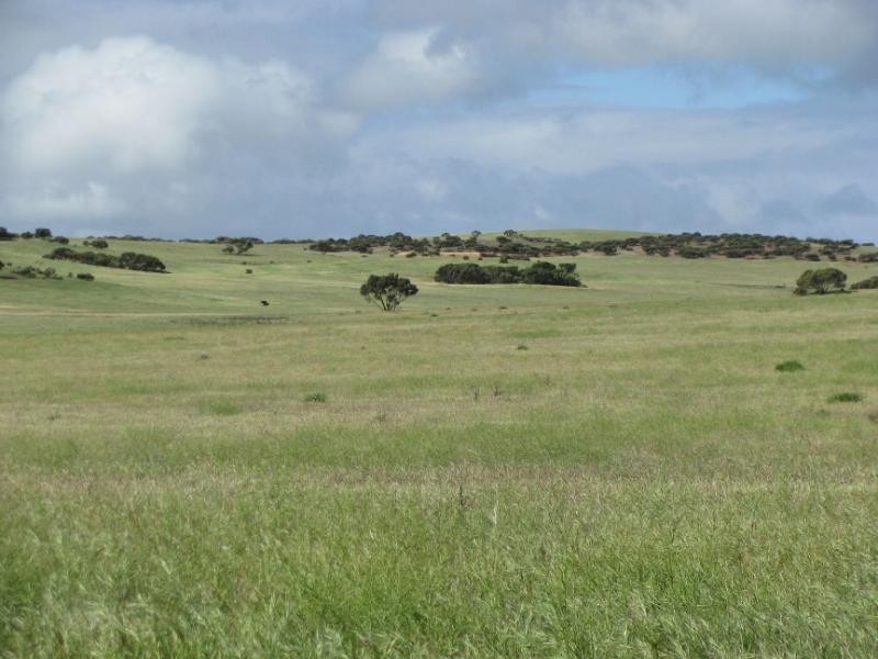 Section 18/ Hen & Chicken Road, Mangalo SA 5602