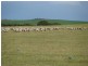 Section 18/ Hen & Chicken Road, Mangalo SA 5602