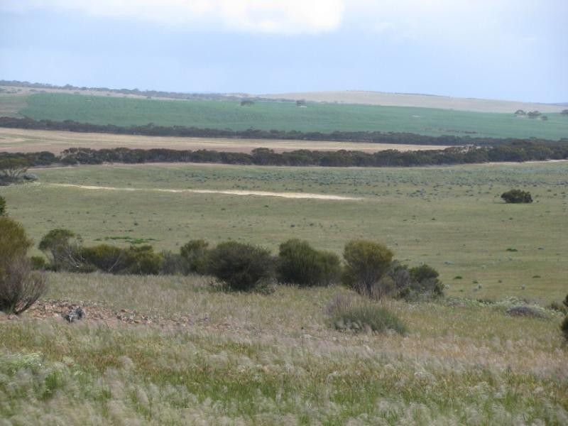 Section 18/ Hen & Chicken Road, Mangalo SA 5602