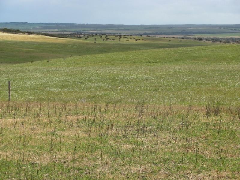 Section 18/ Hen & Chicken Road, Mangalo SA 5602
