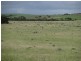 Section 18/ Hen & Chicken Road, Mangalo SA 5602