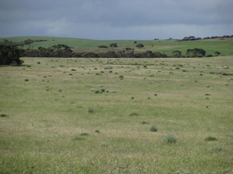 Section 18/ Hen & Chicken Road, Mangalo SA 5602