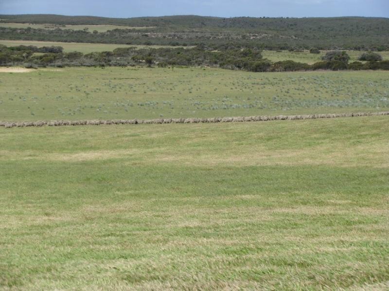 Section 18/ Hen & Chicken Road, Mangalo SA 5602