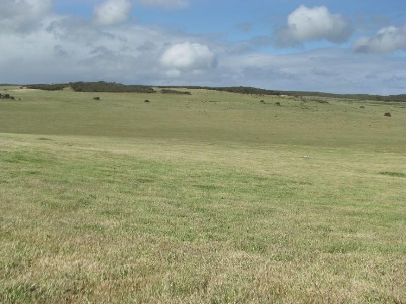 Section 18/ Hen & Chicken Road, Mangalo SA 5602