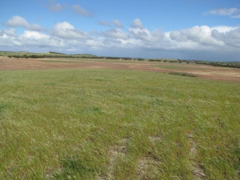 Section 18/ Hen & Chicken Road, Mangalo SA 5602
