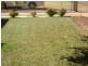 38 West Terrace, Cleve SA 5640