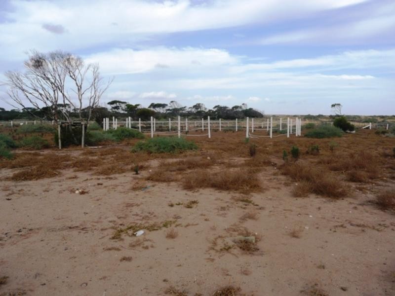Lot 301/ Hastings Road, Ceduna SA 5690