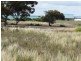 28 Will Street Thevenard, Ceduna SA 5690
