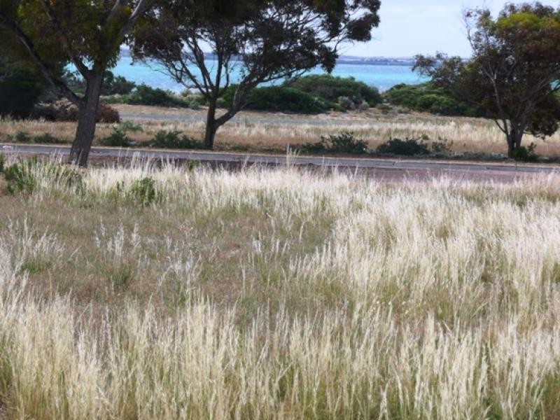 28 Will Street Thevenard, Ceduna SA 5690