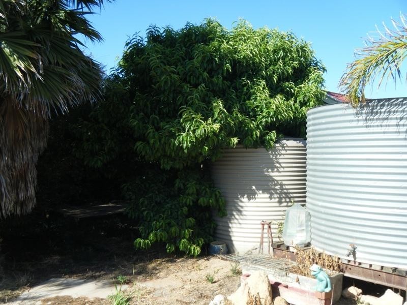 4 Park Terrace, Ceduna SA 5690
