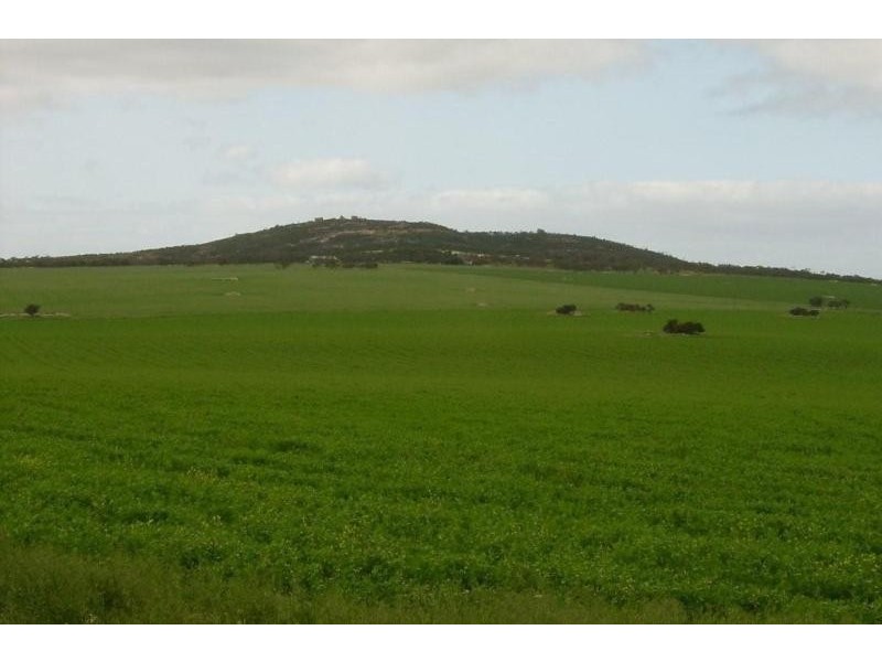 Calca SA 5671